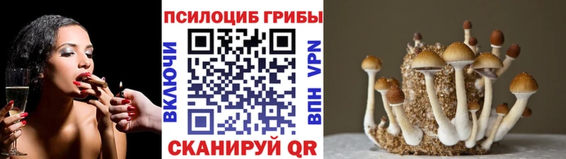 Псилоцибиновые грибы прущие грибы  Купить где  Новое Девяткино 
